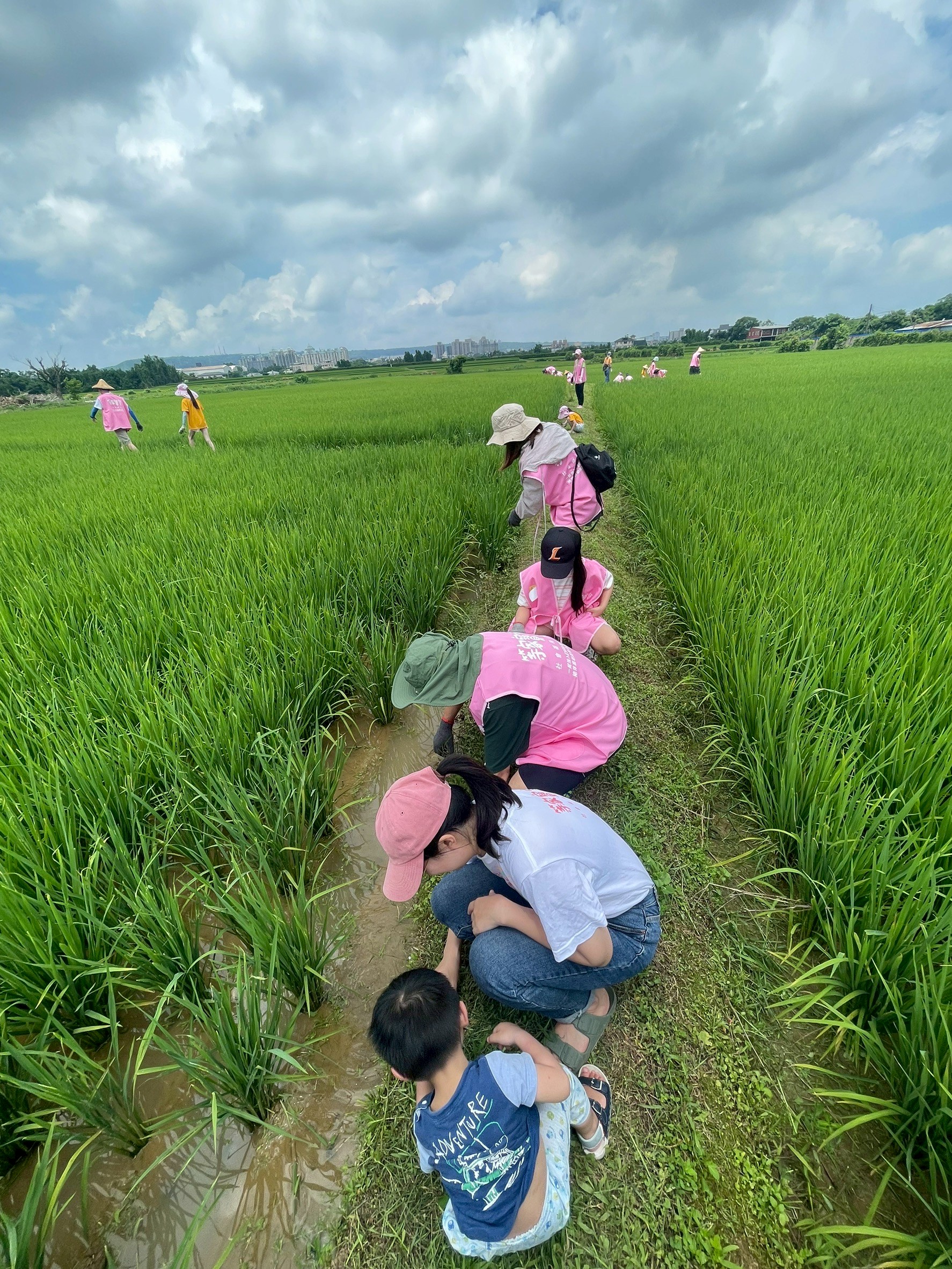 2025年智易攜手等家寶寶— 耕耘希望田 點亮育幼心 2